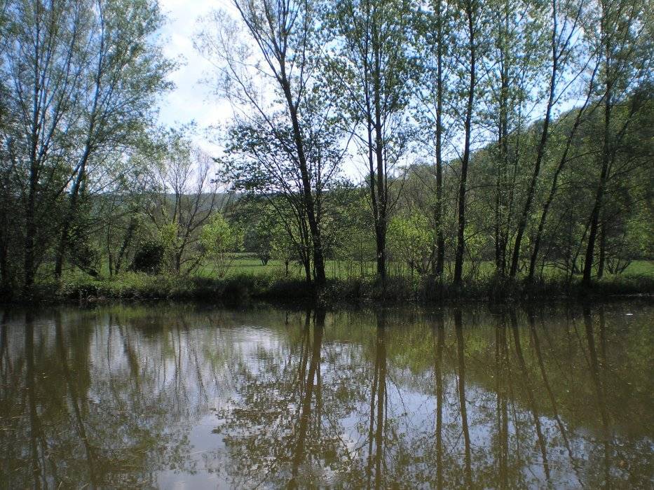06-font-moixina.jpg