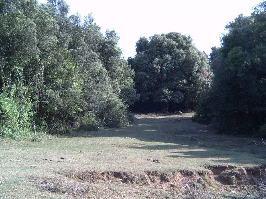 20-sant-julia.jpg