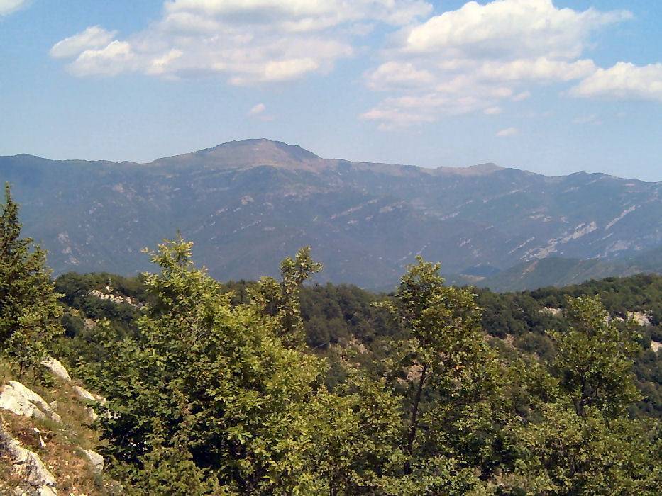 29-comanegra.jpg