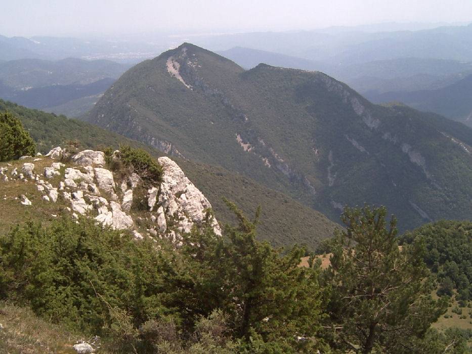 30-montmajor.jpg