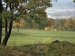 01-olot.jpg