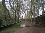 02-olot.jpg