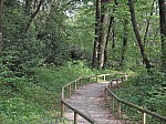 03-olot.jpg