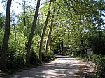 05-font-moixina.jpg