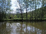06-font-moixina.jpg