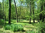 08-font-moixina.jpg