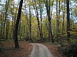 12-fageda.jpg
