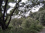 28-vall-bac.jpg