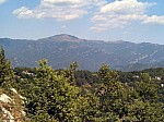 29-comanegra.jpg
