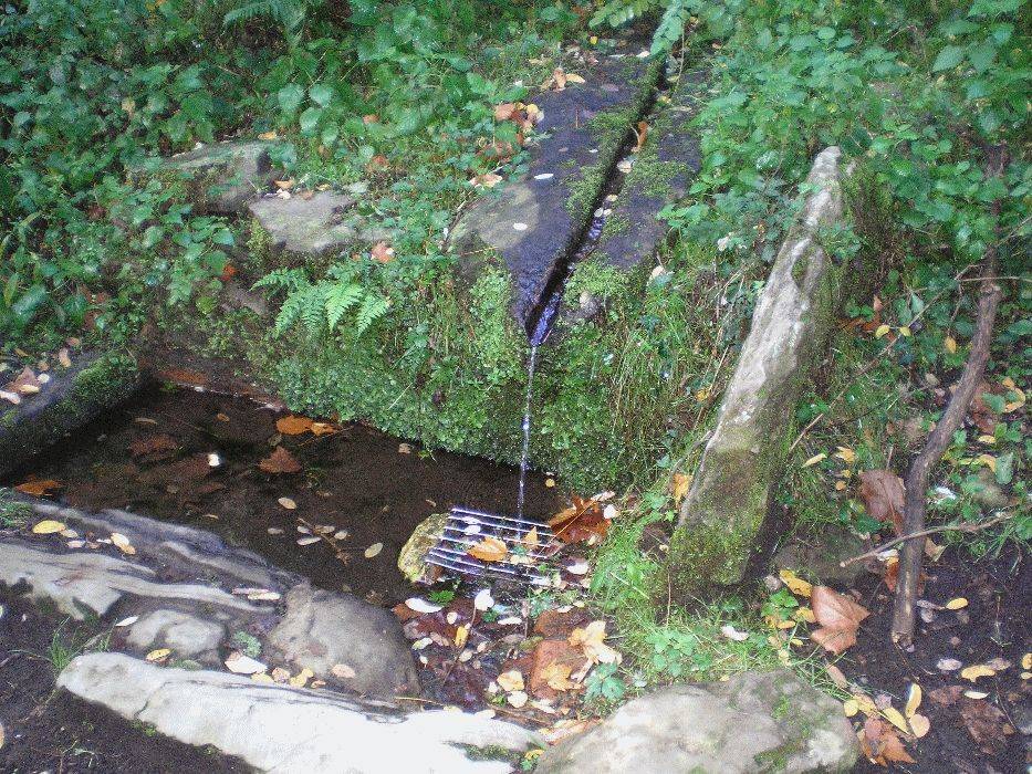 13-font-pobra.jpg
