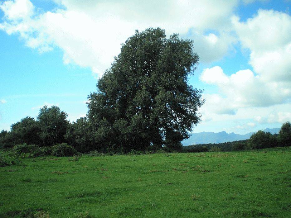16-camp-perer.jpg