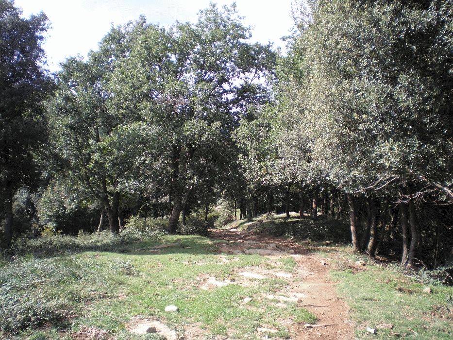 21-finestres.jpg