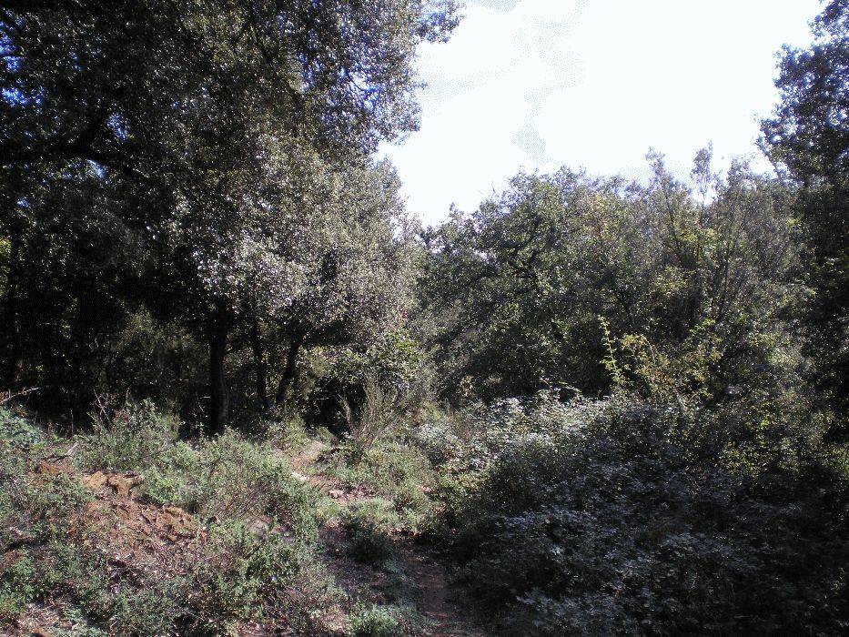 24-finestres.jpg