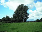 16-camp-perer.jpg 16-camp-perer.jpg