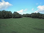 17-camp-perer.jpg 17-camp-perer.jpg