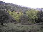 20-finestres.jpg 20-finestres.jpg