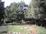 21-finestres.jpg 21-finestres.jpg