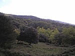 22-finestres.jpg 22-finestres.jpg