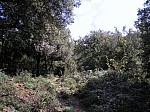 24-finestres.jpg 24-finestres.jpg