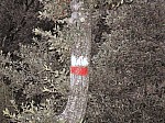 08-gr.jpg 08-gr.jpg
