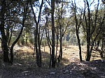 26-santa-barbara.jpg 26-santa-barbara.jpg