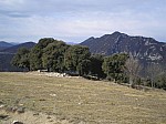 28-santa-barbara.jpg 28-santa-barbara.jpg