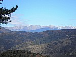 29-pirineo.jpg 29-pirineo.jpg