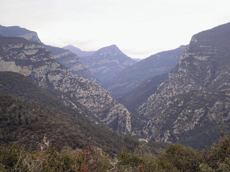 11-sadernes.jpg