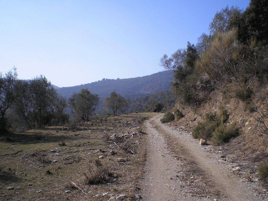 19-solana-pujol.jpg