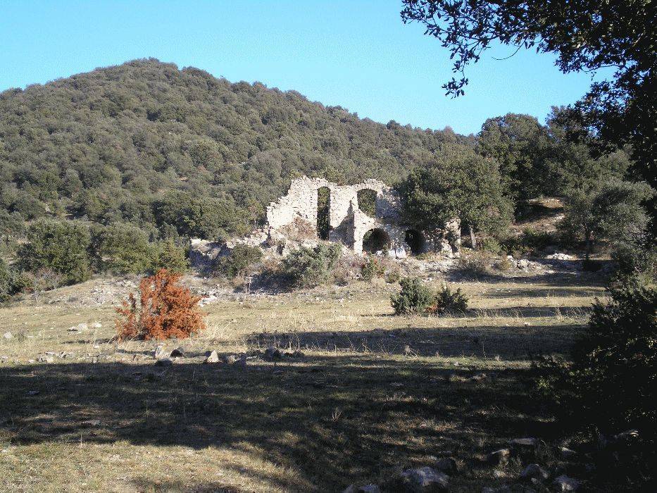21-palomeres.jpg