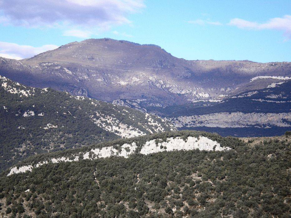 25-comanegra.jpg
