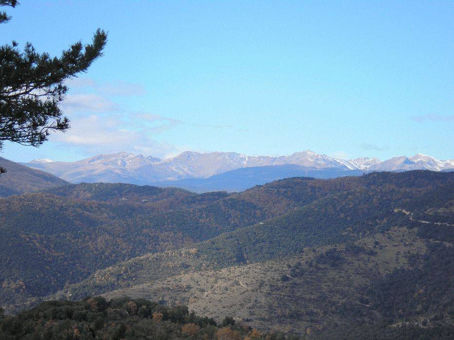 29-pirineo.jpg