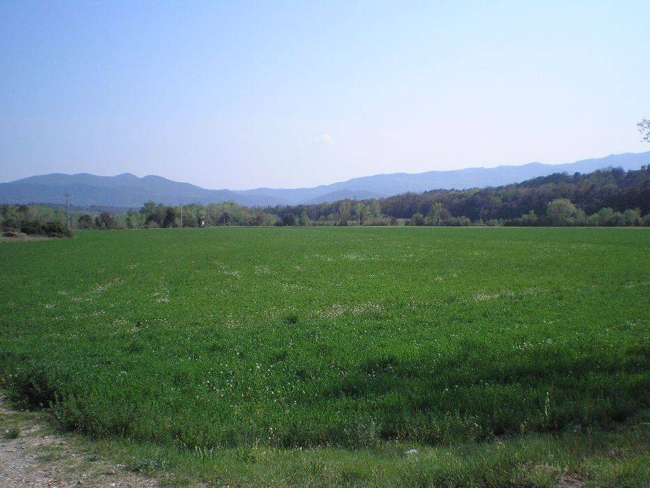 03-pla-pont.jpg