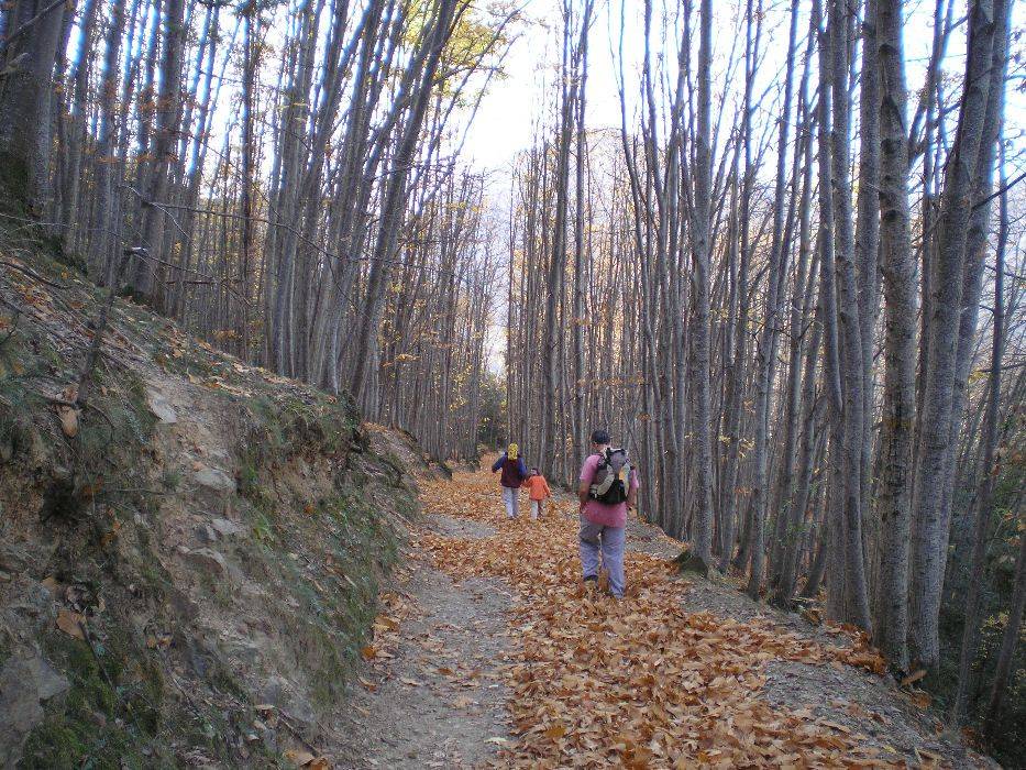 06-castanyeda-plana.jpg
