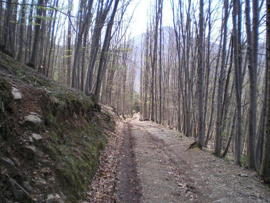 07-castanyeda-plana.jpg