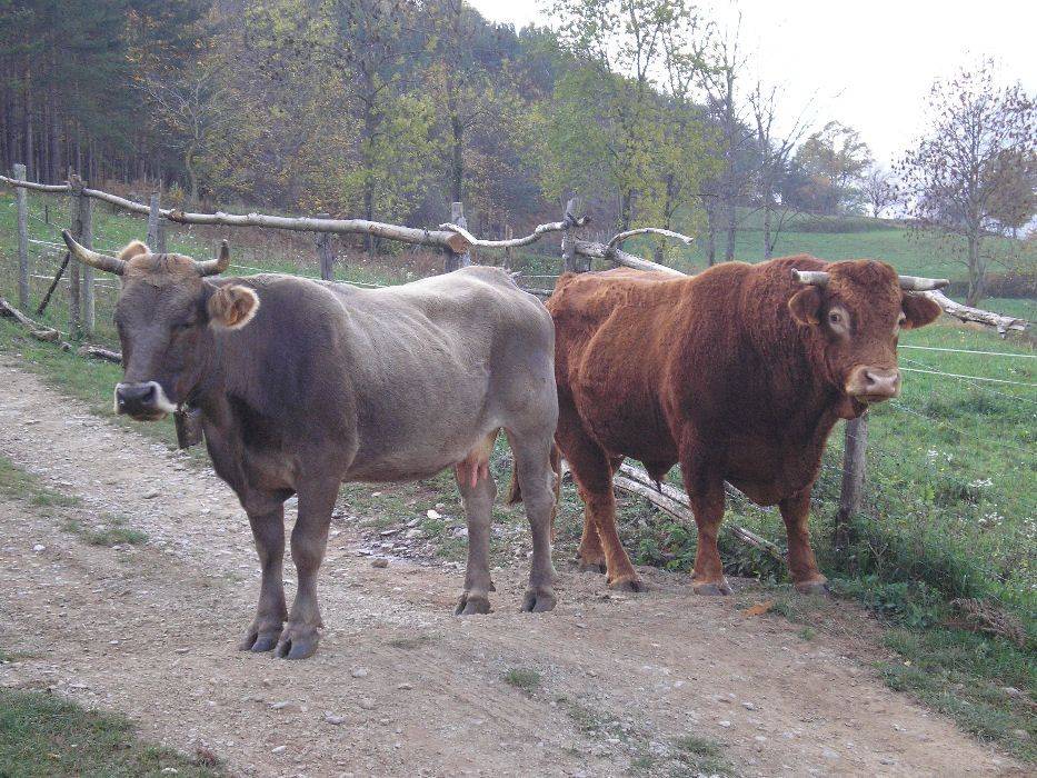 12-vall-riu.jpg