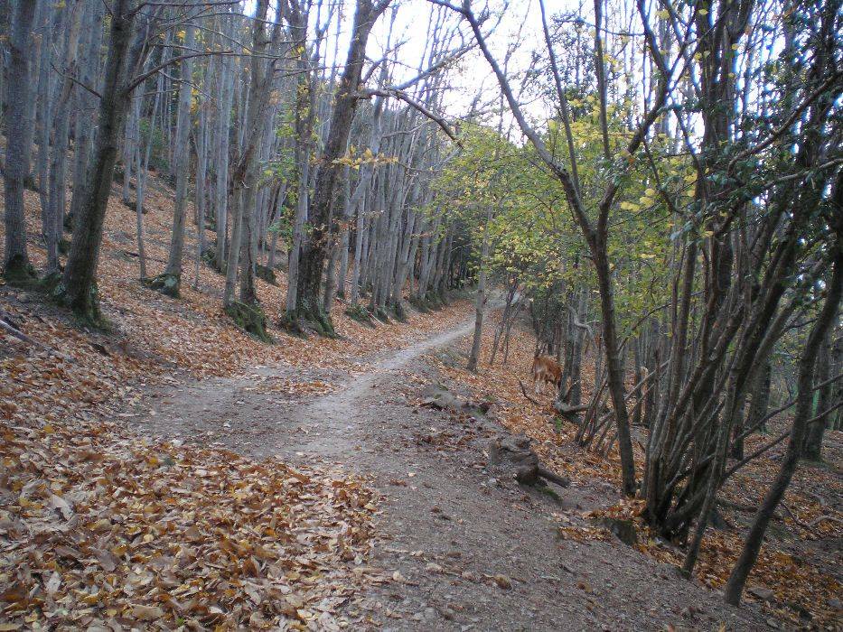 15-ca-n-agusti.jpg