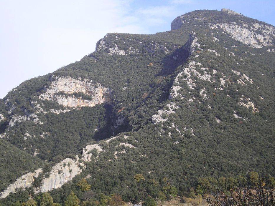 16-bassegoda.jpg