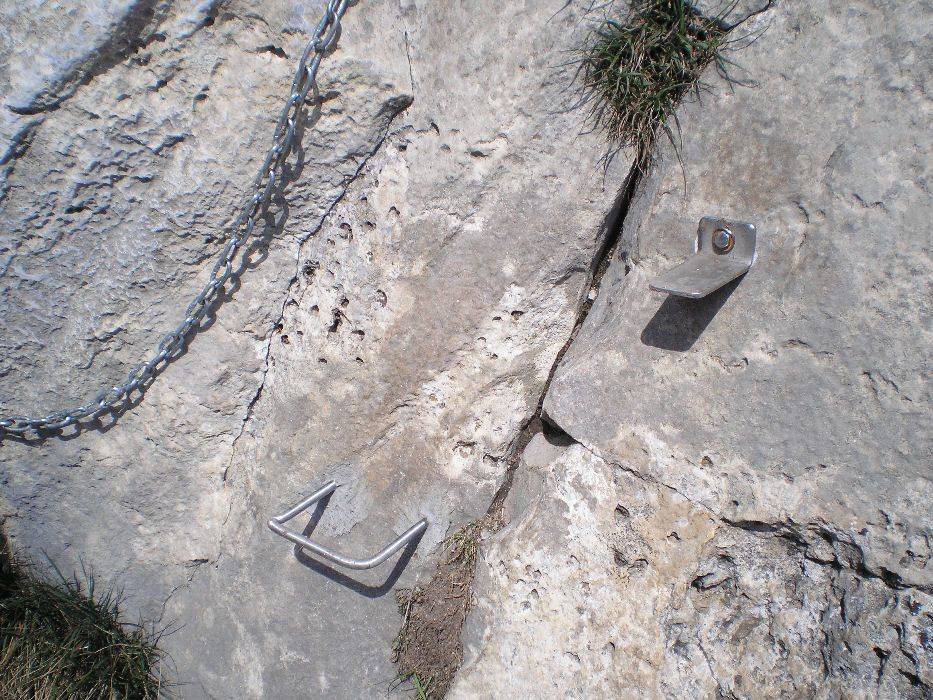 20-bassegoda.jpg