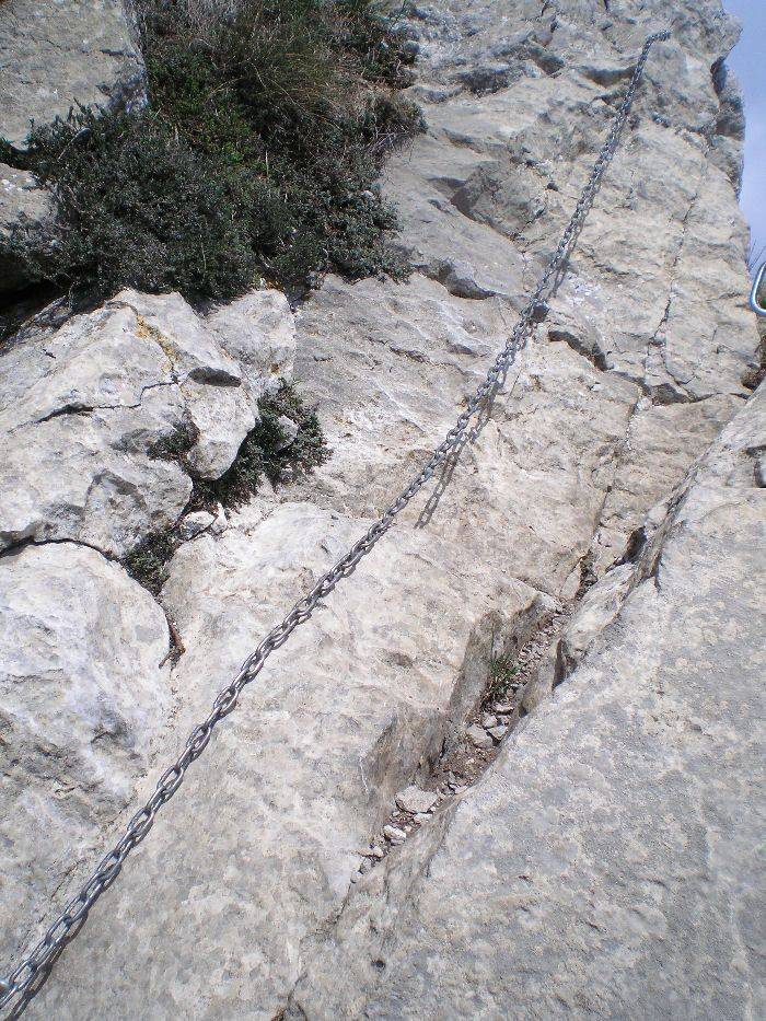 21-bassegoda.jpg
