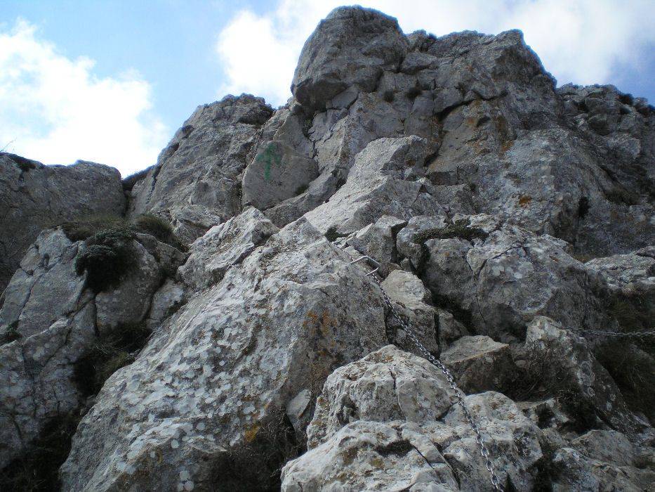 22-bassegoda.jpg