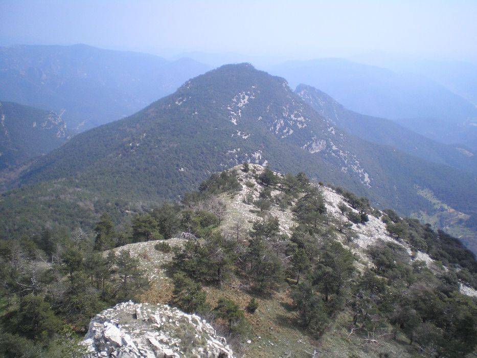 23-bassegoda.jpg