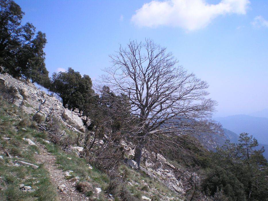 27-descenso.jpg