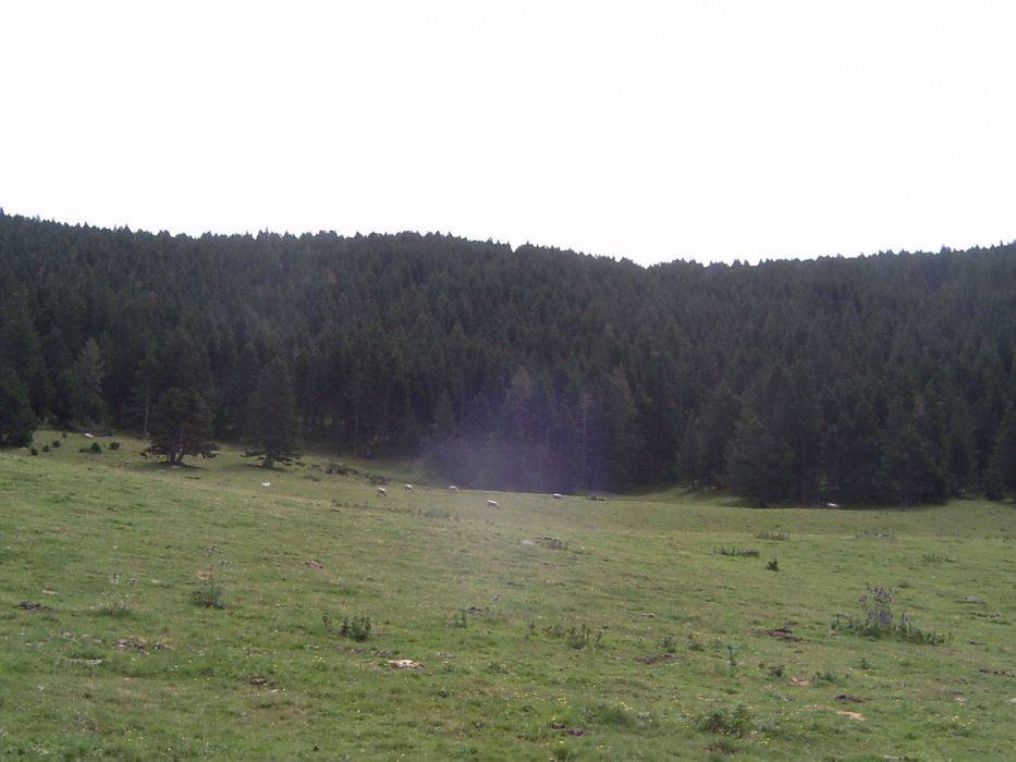 09-bac-carboner.jpg