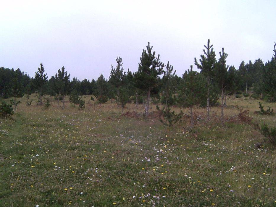 29-plan-xanau.jpg
