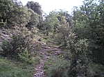 01oratori_02.jpg