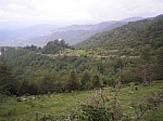 02llarga_02.jpg