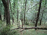 05vila_03.jpg