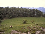 07mitja_02.jpg