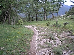 08costa_02.jpg